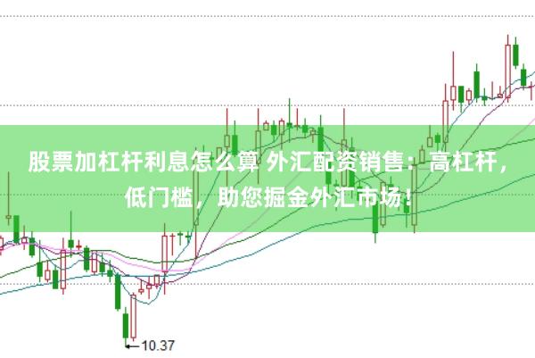 股票加杠杆利息怎么算 外汇配资销售：高杠杆，低门槛，助您掘金外汇市场！