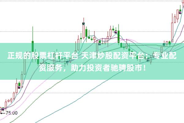 正规的股票杠杆平台 天津炒股配资平台：专业配资服务，助力投资者驰骋股市！