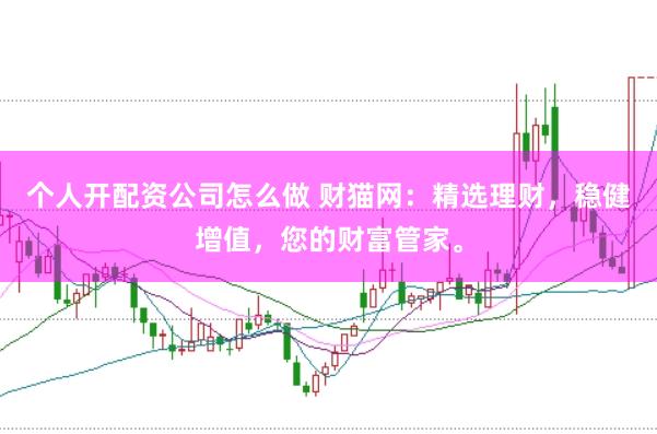 个人开配资公司怎么做 财猫网：精选理财，稳健增值，您的财富管家。