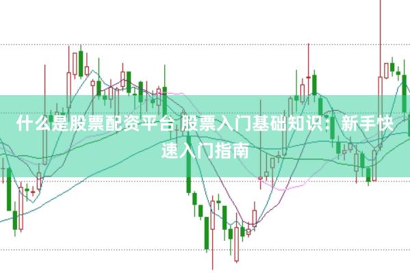 什么是股票配资平台 股票入门基础知识：新手快速入门指南