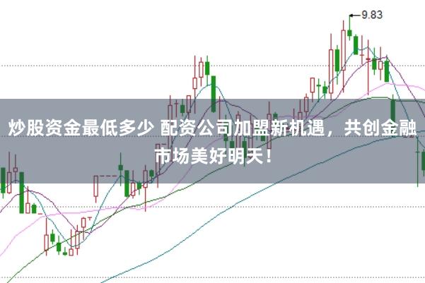炒股资金最低多少 配资公司加盟新机遇，共创金融市场美好明天！