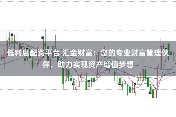 低利息配资平台 汇金财富：您的专业财富管理伙伴，助力实现资产增值梦想