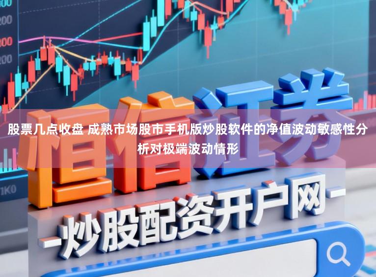 股票几点收盘 成熟市场股市手机版炒股软件的净值波动敏感性分析对极端波动情形