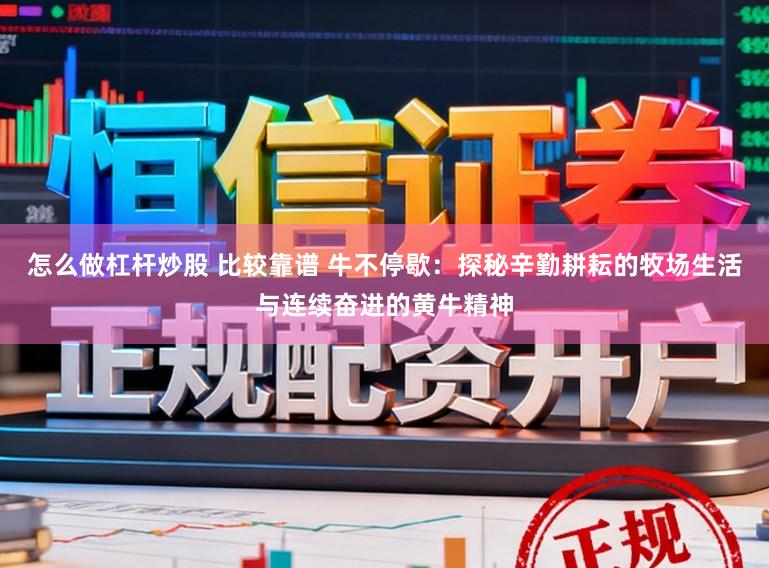 怎么做杠杆炒股 比较靠谱 牛不停歇：探秘辛勤耕耘的牧场生活与连续奋进的黄牛精神