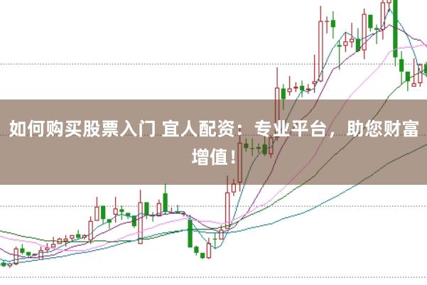 如何购买股票入门 宜人配资：专业平台，助您财富增值！